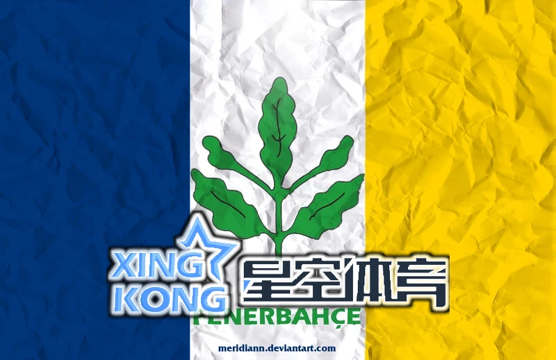 星空官网免费入口app健康陪伴功能界面展示家庭协同与用药提醒