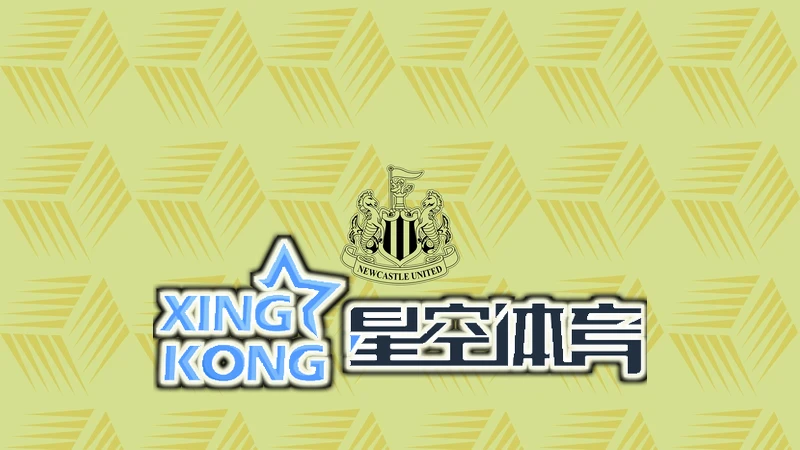 星空(xingkong)体育·(中国)官方网站相关图片