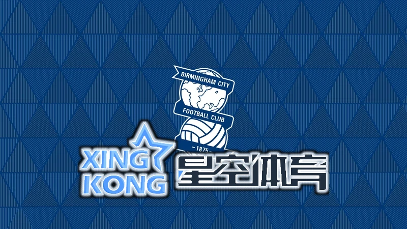星空・体育综合app下载官网版下载相关图片