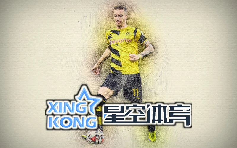 星空・综合体育app官网登录推荐速干T恤