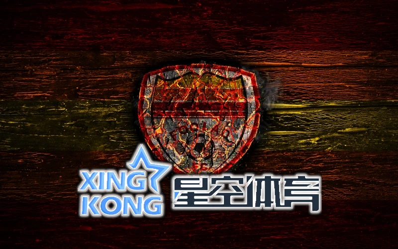 用户反馈