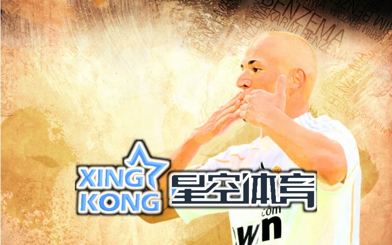 星空app下载最新版本内容快速体验指南