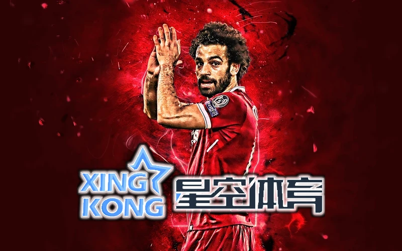 星空xk(中国)体育官方网站相关图片