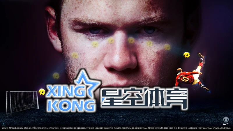 星空・体育(官方)网页版伏黑甚尔技能展示