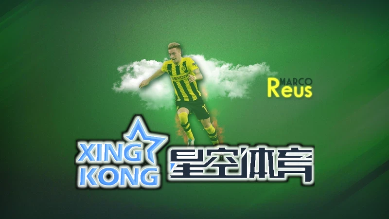 星空综合app官网登录竞技游戏