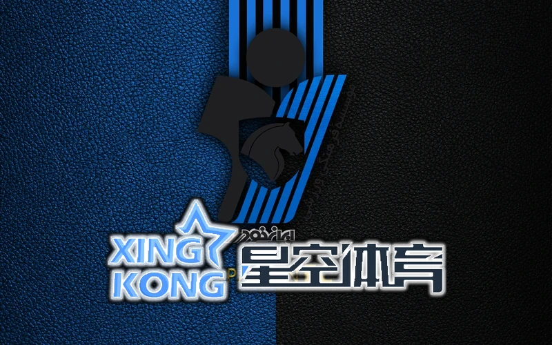 星空・体育综合app下载官相关图片