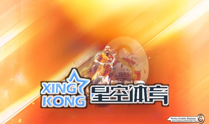 星空体育综合登录平台用户反馈