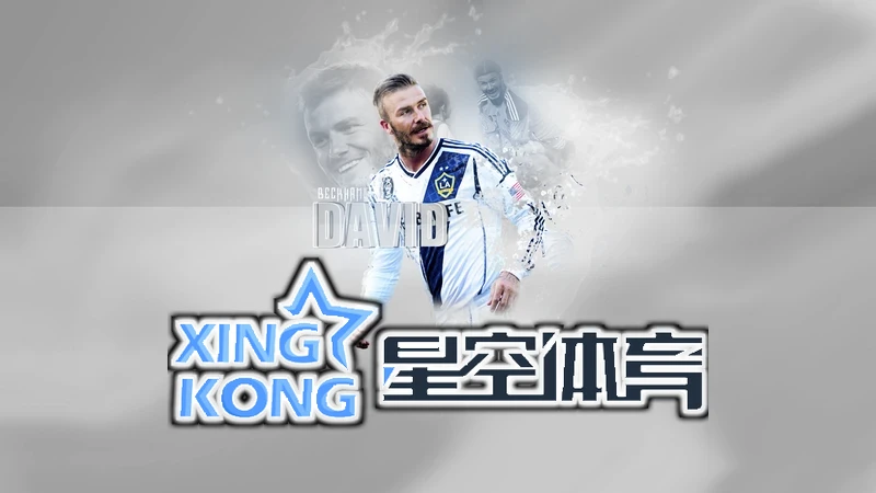 星空手机网页版登录入口相关图片