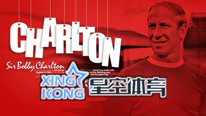 星空网站入口官网手机版社交互动功能