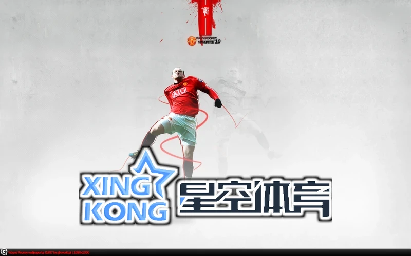星空官网APP入口相关图片