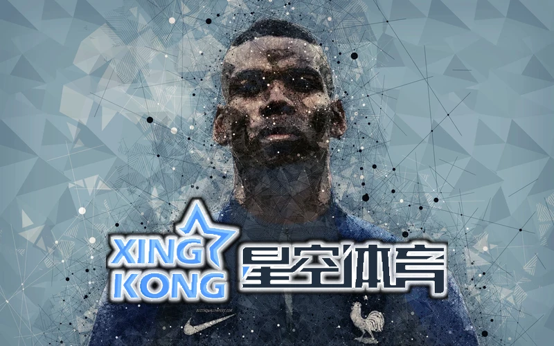 星空综合体育APP下载小牛FS风速新车图片