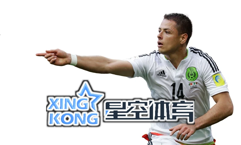 星空(xingkong)体育·(中国)官方网站相关图片