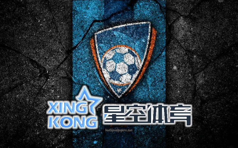 星空娱乐合理下注技巧