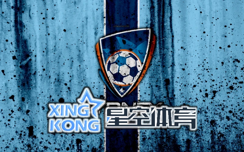 星空官网登录官网首页用户反馈与数据表现