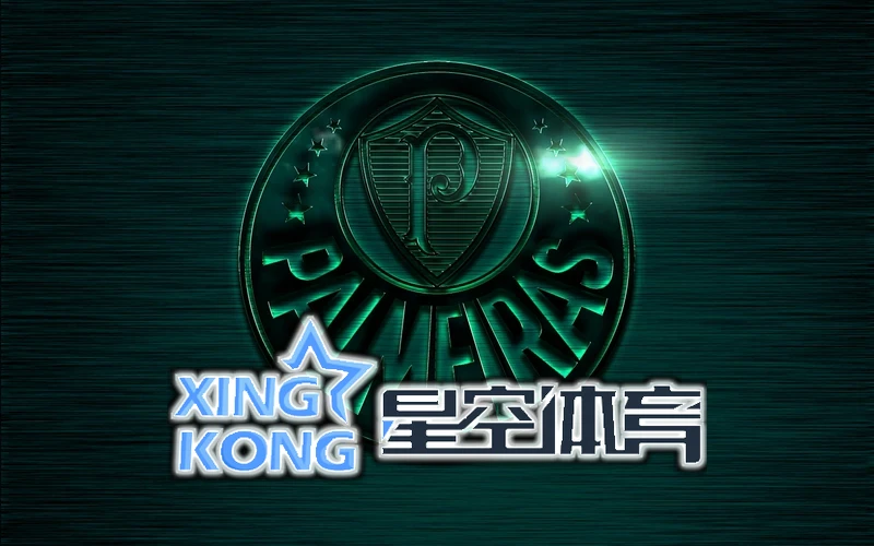 星空app官方正版入口网站快捷入口界面图片