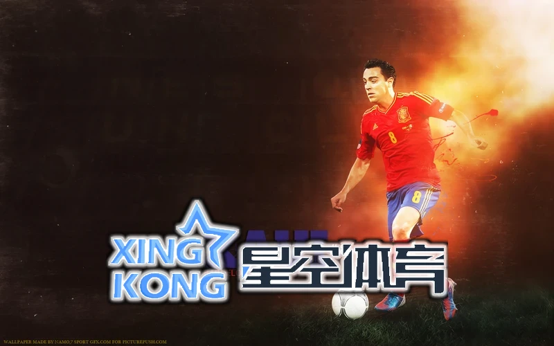 星空网站入口官网手机版相关图片