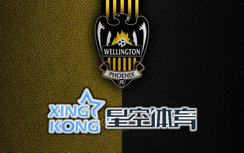 星空官网登录官网首页相关图片