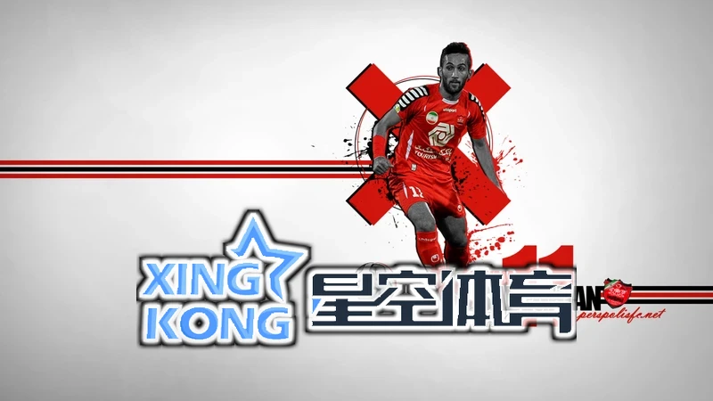 星空网站入口官网手机版创作办公应用图片