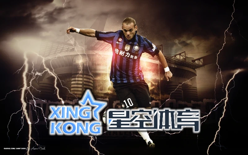 星空(xingkong)体育·(中国)手机体育官方全球市场数据与品牌发展