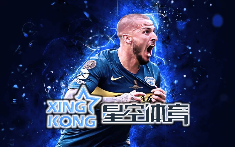 星空・综合体育app官网登录相关图片
