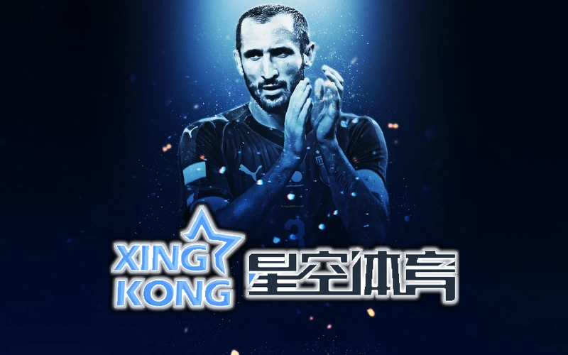 星空体育网页版登录入口的防护测试