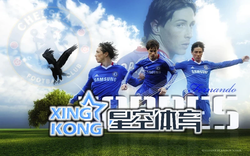 星空app官网登录入口页面布局示意