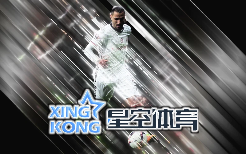 星空·体育中国综合功能模块展示图