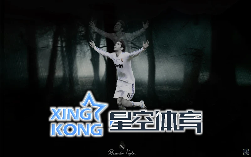 星空·全站体育网页登录官方版web相关图片