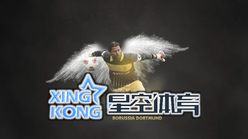 星空手机网页版登录入口相关图片