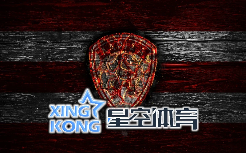 星图节点逐一亮起的界面，星座连线在深色背景上展开