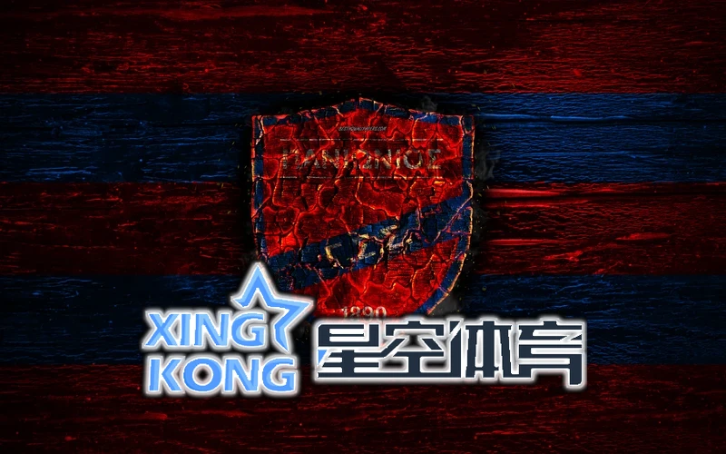 星空.(星空)体育官网多功能互动界面