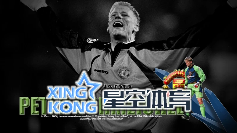 星空体育综合登录平台功能