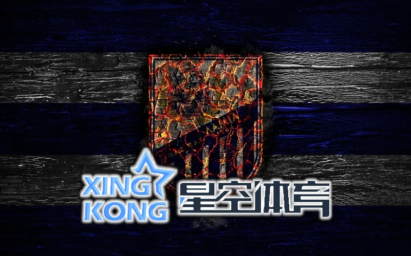 星空·体育综合app下载官方网站相关图片