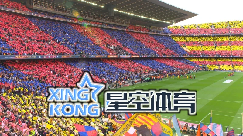 星空平台app官方下载下载步骤