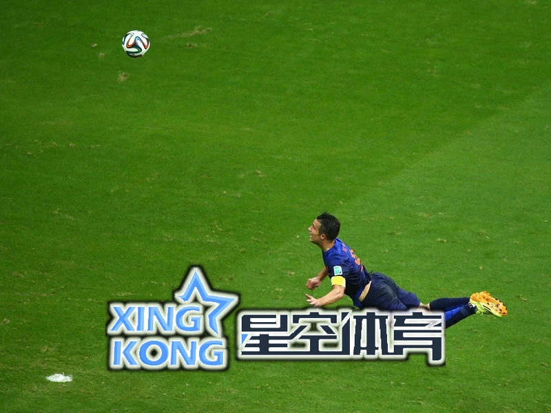 星空・全站体育APP登录相关图片