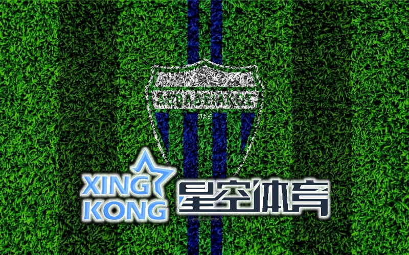 星空·手机体育综合app下载官方网站相关图片：AI智能界面展示