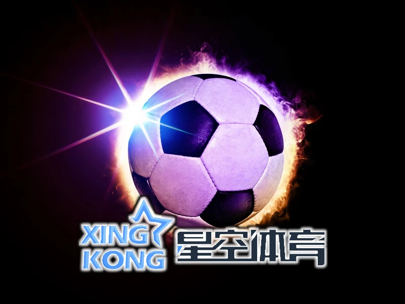 星空・娱乐(官方)app 账户中心界面示意图