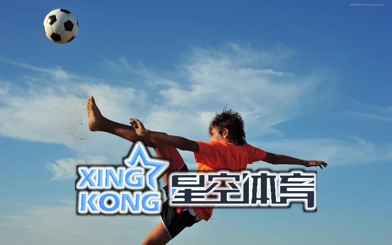 星空·全站体育网页版的投注选项