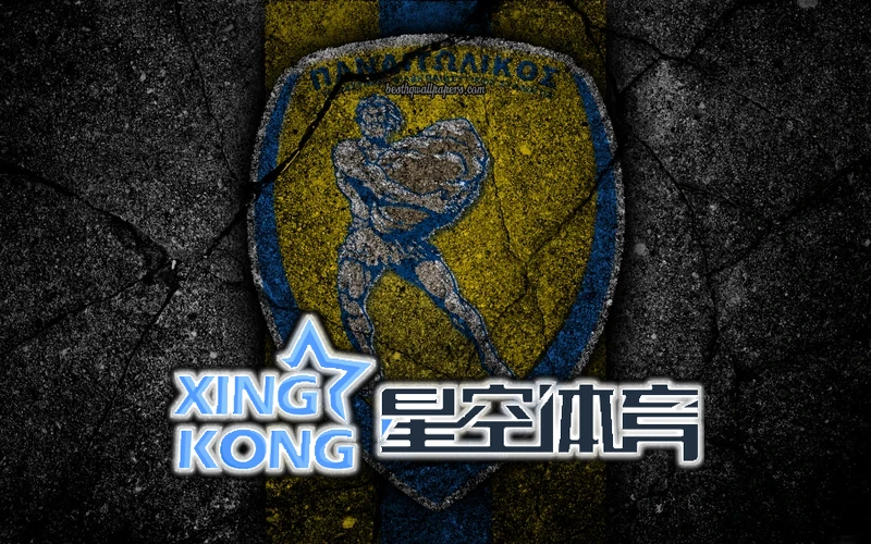 星空官网app下载入口前景分析图片