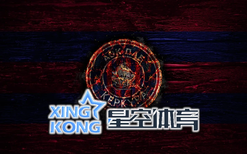 星空官方网站登录入口特色玩法截图
