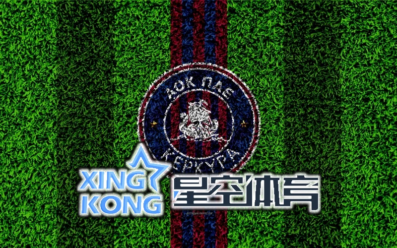 星空网页版在线登录入口官导出与协作分享界面图