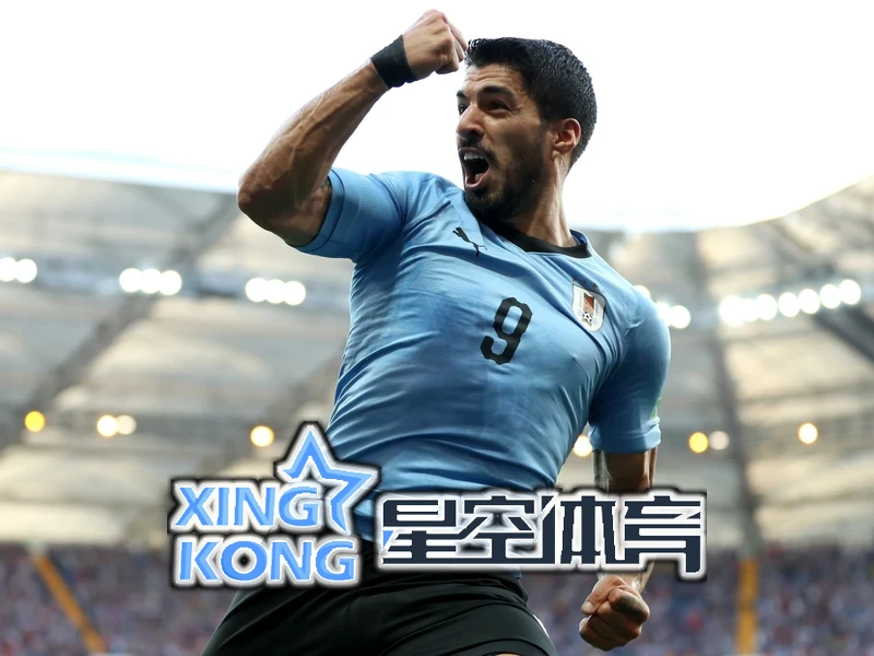 星空综合体育网页版登录相关图片