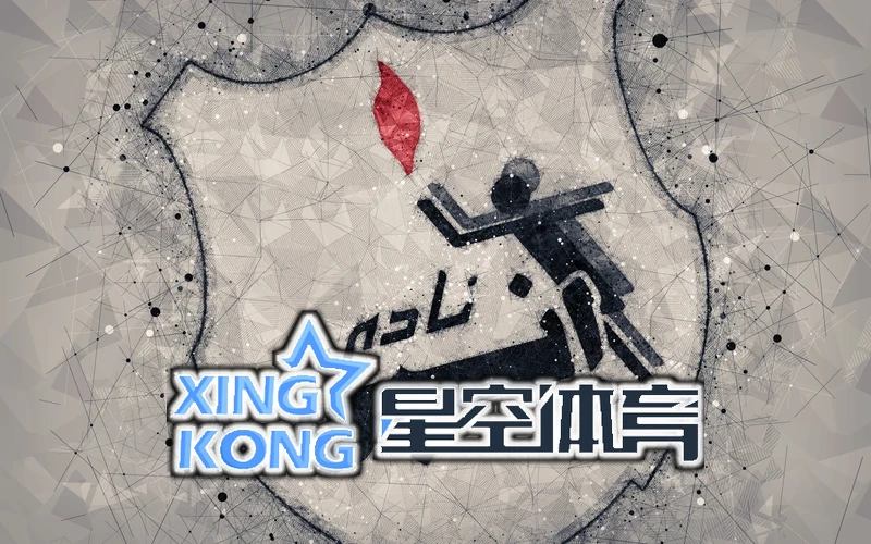 星空(xk)·体育(中国)的运动教育界面与用户分析