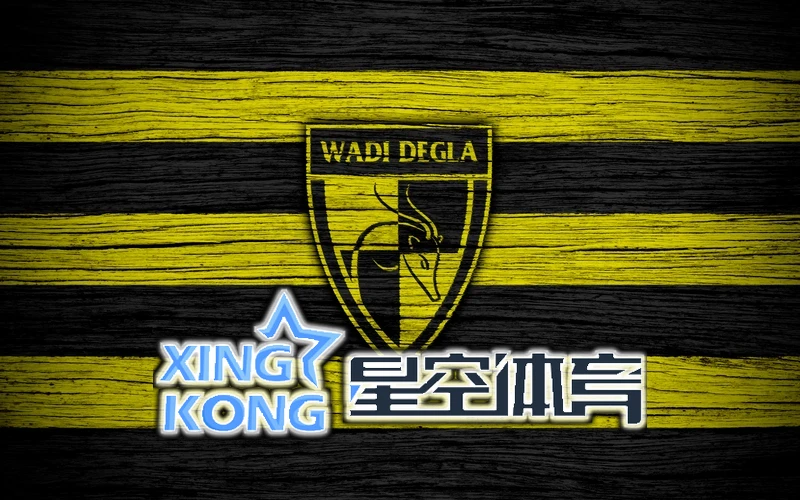 星空・体育综合app下载官相关图片
