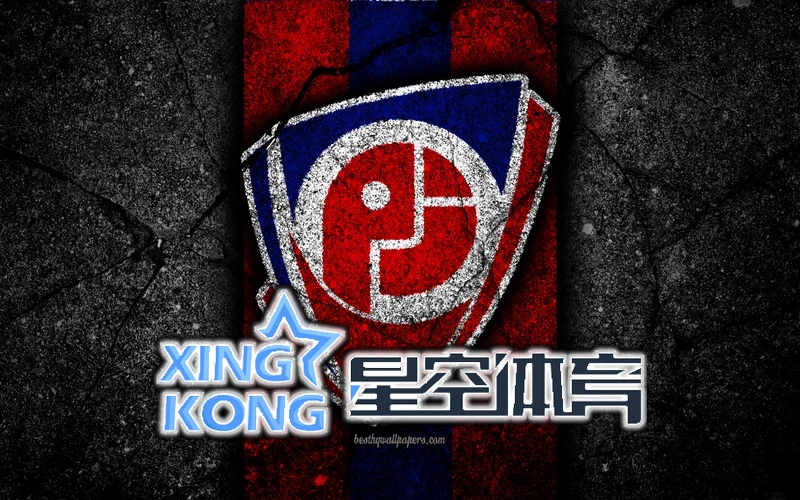 星空(xingkong)体育·(中国)手机体育官方实时数据面板