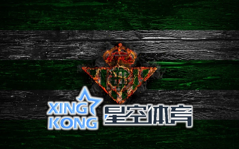 星空体育官网下载相关图片-AI体育课程现场