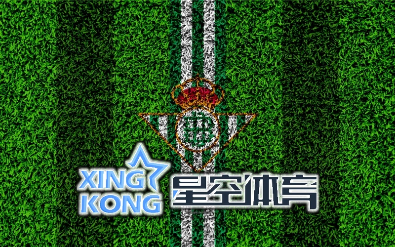 星空平台app官方下载功能展示