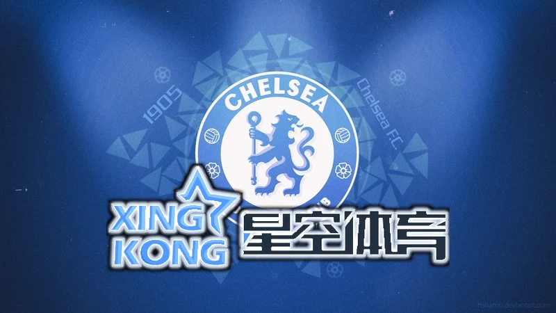 星空综合体育5.0app下载综合体验与行业观察
