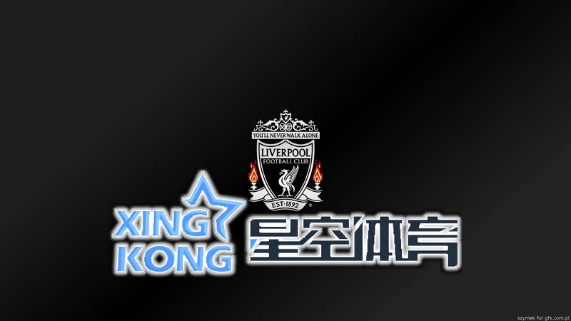 用户反馈的图表