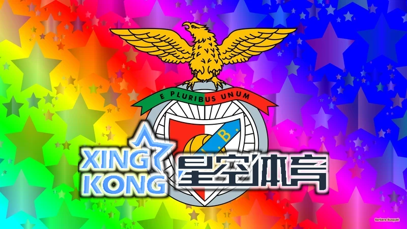 星空体育官网开放生态合作计划